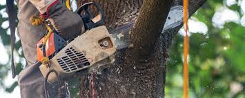 Best Soil Testing and Treatment  in Garberville, CA