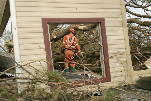 Tree and Shrub Care in Garberville, CA